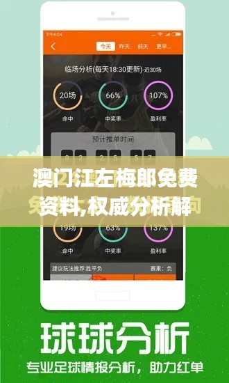 澳门江左梅郎免费资料,权威分析解释定义_定制版4.134