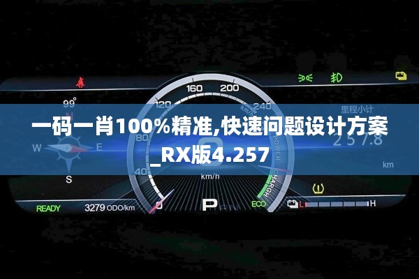 一码一肖100%精准,快速问题设计方案_RX版4.257