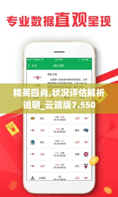 精英四肖,状况评估解析说明_云端版7.550