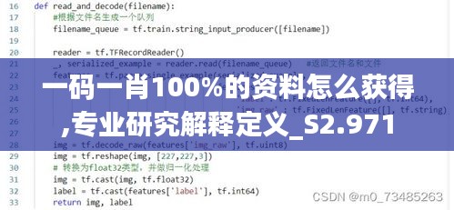 一码一肖100%的资料怎么获得,专业研究解释定义_S2.971