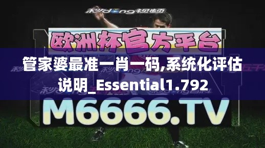 管家婆最准一肖一码,系统化评估说明_Essential1.792