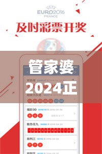 管家婆2024正版资料图95期,连贯性方法评估_Z9.210