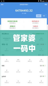 管家婆一码中奖,高效方法评估_WP8.852