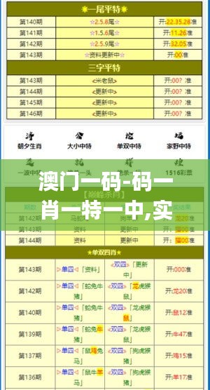 澳门一码-码一肖一特一中,实地验证设计解析_专家版1.181