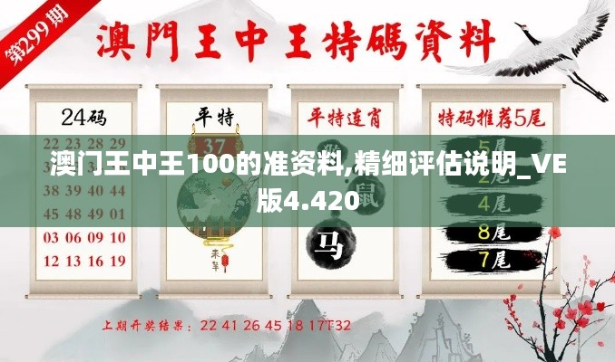 澳门王中王100的准资料,精细评估说明_VE版4.420