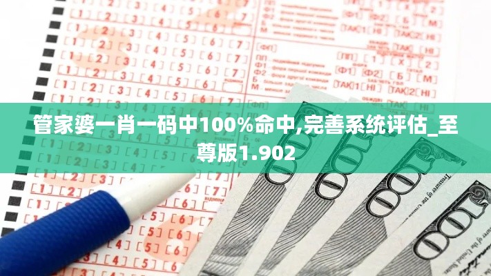 管家婆一肖一码中100%命中,完善系统评估_至尊版1.902