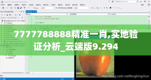 7777788888精准一肖,实地验证分析_云端版9.294