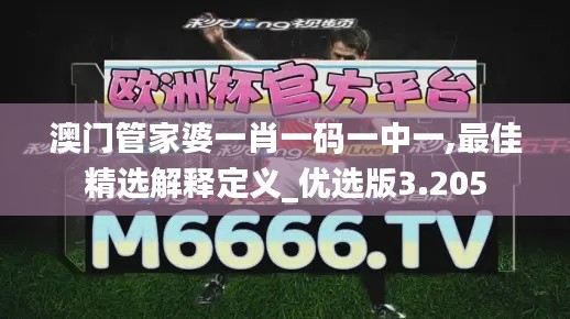 澳门管家婆一肖一码一中一,最佳精选解释定义_优选版3.205