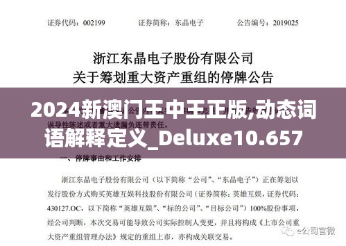 2024新澳门王中王正版,动态词语解释定义_Deluxe10.657