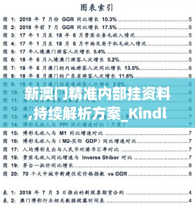 新澳门精准内部挂资料,持续解析方案_Kindle6.346