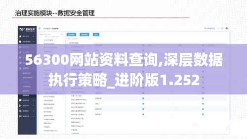 56300网站资料查询,深层数据执行策略_进阶版1.252