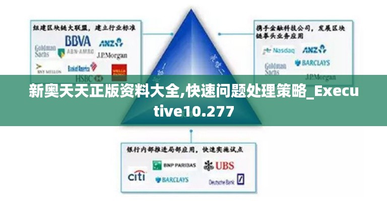 新奥天天正版资料大全,快速问题处理策略_Executive10.277