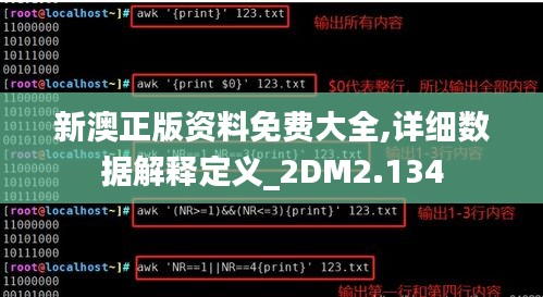 新澳正版资料免费大全,详细数据解释定义_2DM2.134