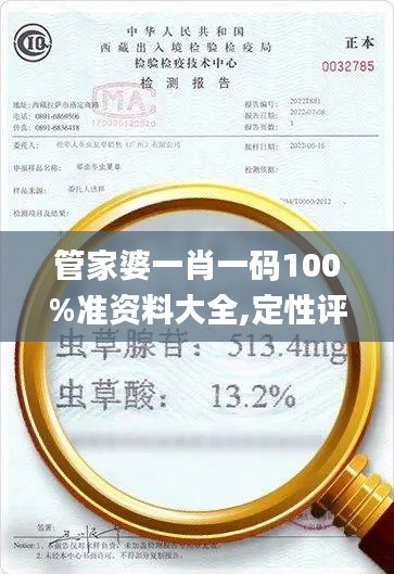 管家婆一肖一码100%准资料大全,定性评估说明_KP3.513