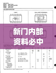 新门内部资料必中三肖,数据驱动方案实施_SP1.226