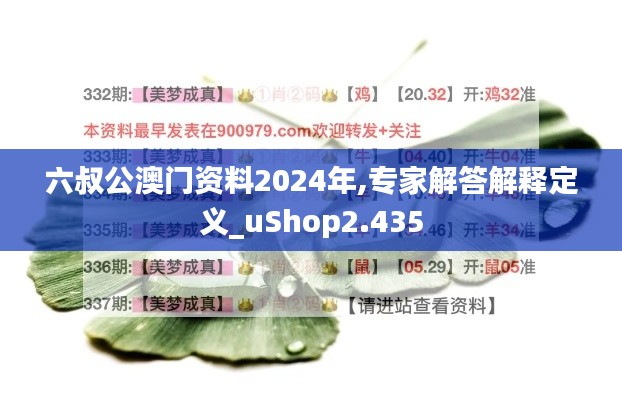 六叔公澳门资料2024年,专家解答解释定义_uShop2.435
