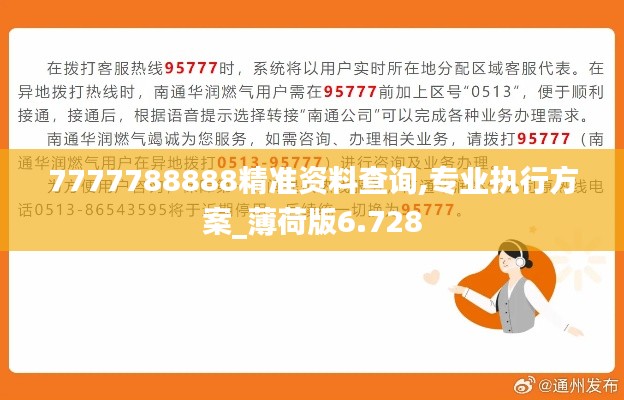 7777788888精准资料查询,专业执行方案_薄荷版6.728