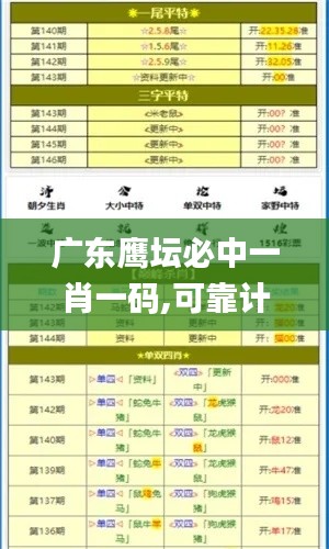 广东鹰坛必中一肖一码,可靠计划策略执行_XP18.419