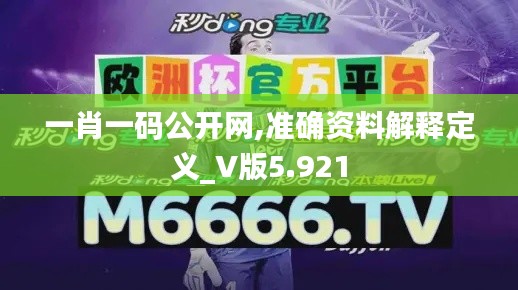 一肖一码公开网,准确资料解释定义_V版5.921