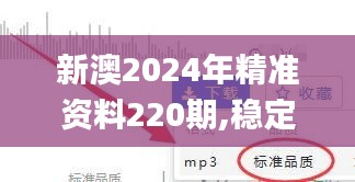 新澳2024年精准资料220期,稳定性方案解析_GT3.422
