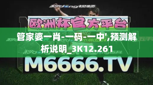 管家婆一肖-一码-一中′,预测解析说明_3K12.261
