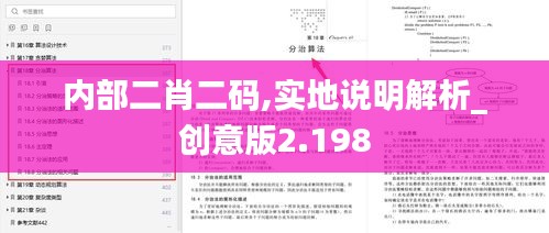 内部二肖二码,实地说明解析_创意版2.198