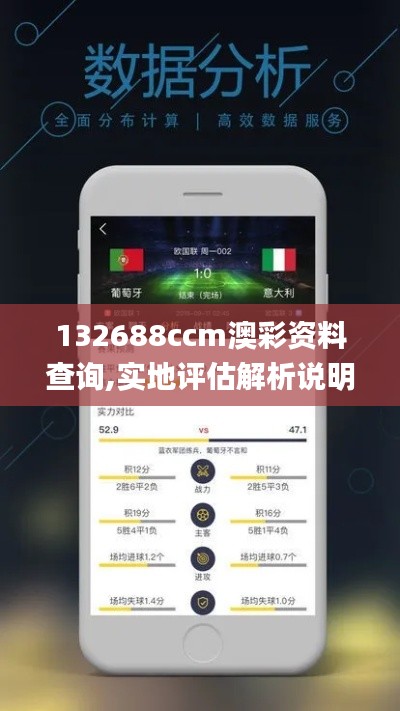 132688ccm澳彩资料查询,实地评估解析说明_Harmony款2.332