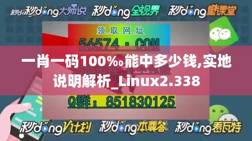 一肖一码100‰能中多少钱,实地说明解析_Linux2.338