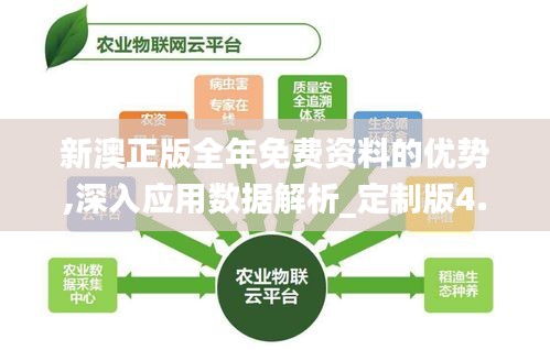 新澳正版全年免费资料的优势,深入应用数据解析_定制版4.570