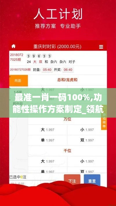 最准一肖一码100%,功能性操作方案制定_领航版10.570