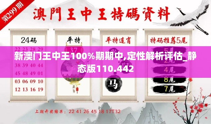 新澳门王中王100%期期中,定性解析评估_静态版110.442