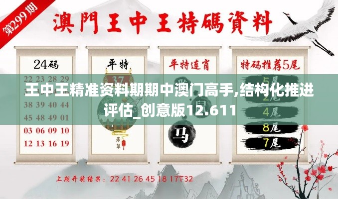 王中王精准资料期期中澳门高手,结构化推进评估_创意版12.611