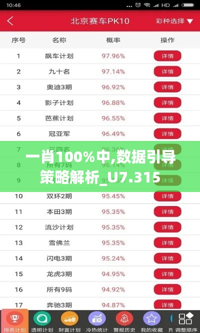 一肖100%中,数据引导策略解析_U7.315