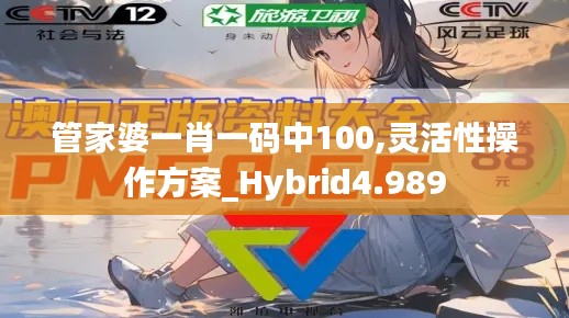 管家婆一肖一码中100,灵活性操作方案_Hybrid4.989