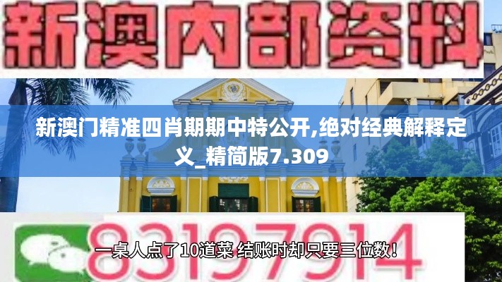 新澳门精准四肖期期中特公开,绝对经典解释定义_精简版7.309