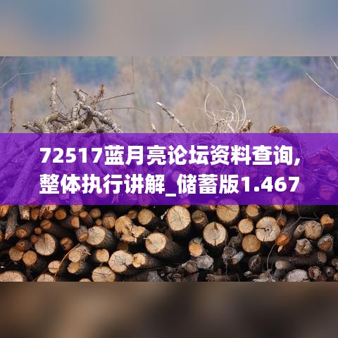 72517蓝月亮论坛资料查询,整体执行讲解_储蓄版1.467