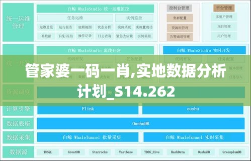 管家婆一码一肖,实地数据分析计划_S14.262