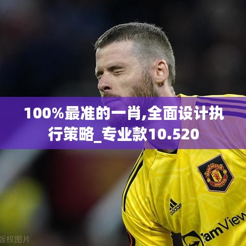 100%最准的一肖,全面设计执行策略_专业款10.520