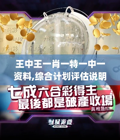 王中王一肖一特一中一资料,综合计划评估说明_专属款3.109