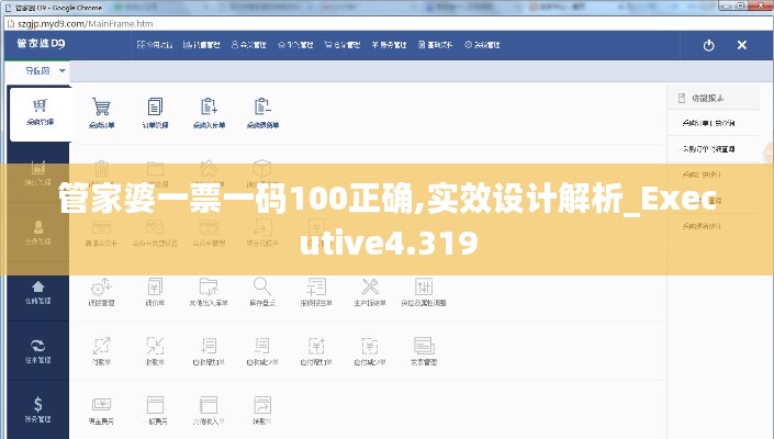 管家婆一票一码100正确,实效设计解析_Executive4.319
