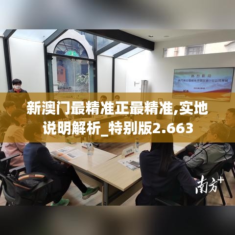 新澳门最精准正最精准,实地说明解析_特别版2.663