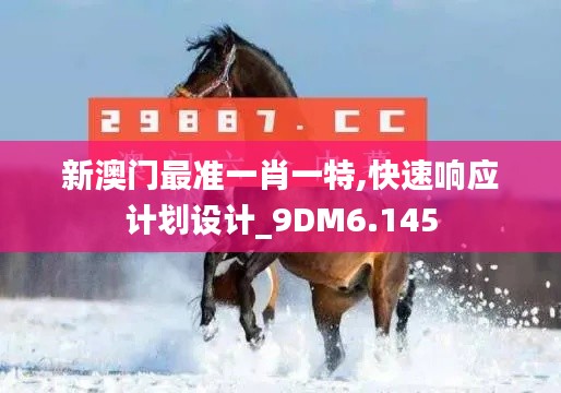 新澳门最准一肖一特,快速响应计划设计_9DM6.145