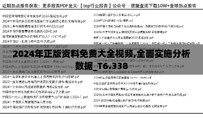 2024年正版资料免费大全视频,全面实施分析数据_T6.338