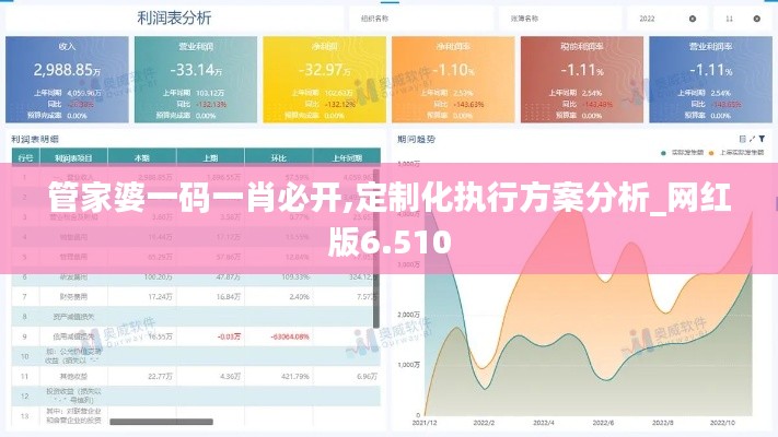 管家婆一码一肖必开,定制化执行方案分析_网红版6.510