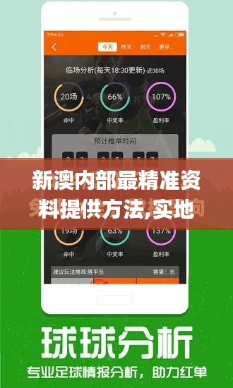 新澳内部最精准资料提供方法,实地验证分析数据_1440p5.928