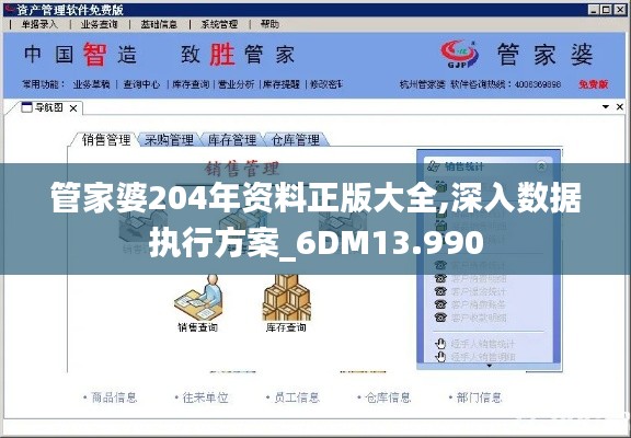 管家婆204年资料正版大全,深入数据执行方案_6DM13.990