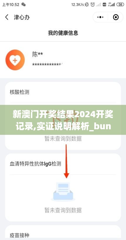 新澳门开奖结果2024开奖记录,实证说明解析_bundle1.304
