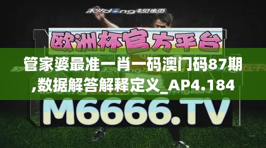 管家婆最准一肖一码澳门码87期,数据解答解释定义_AP4.184