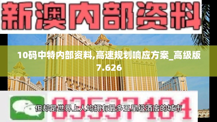 10码中特内部资料,高速规划响应方案_高级版7.626