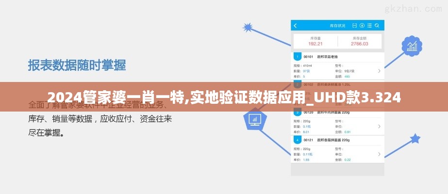2024管家婆一肖一特,实地验证数据应用_UHD款3.324